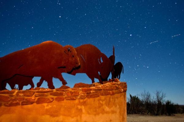 Image via Texas Parks and Wildlife