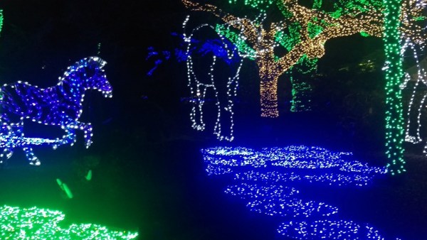 Facebook/Houston Zoo Lights