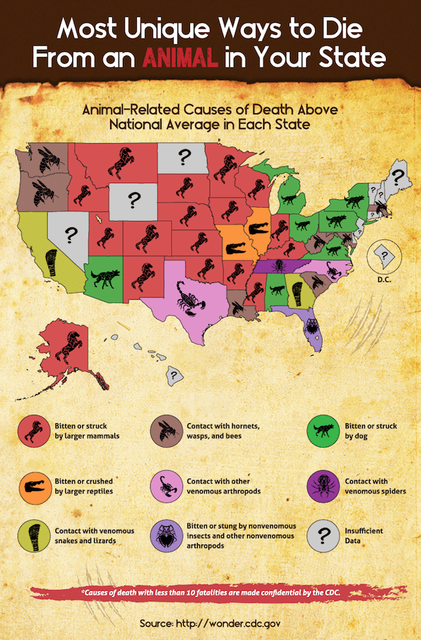 deadliest animals in each state