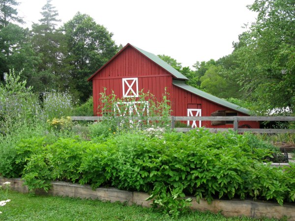 Facebook/Bluebird Hill Farm