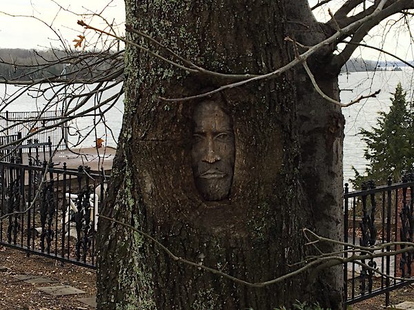 A carving of Johnny Cash inside one of the property's massive trees.
