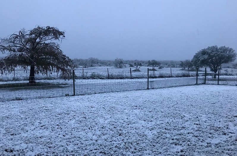 snow in South Texas