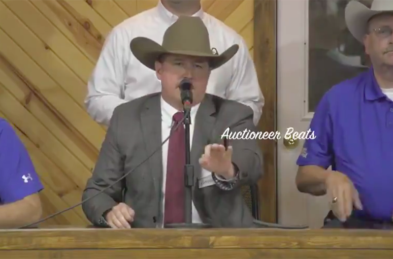 Auctioneer Chants Set Hip-Hop is Your Musical Obsession
