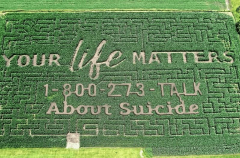 Corn Maze Suicide Prevention