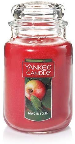 Yankee Candle Large Jar Candle Macintosh