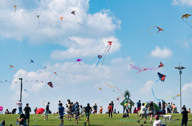 Houston Kite Festival
