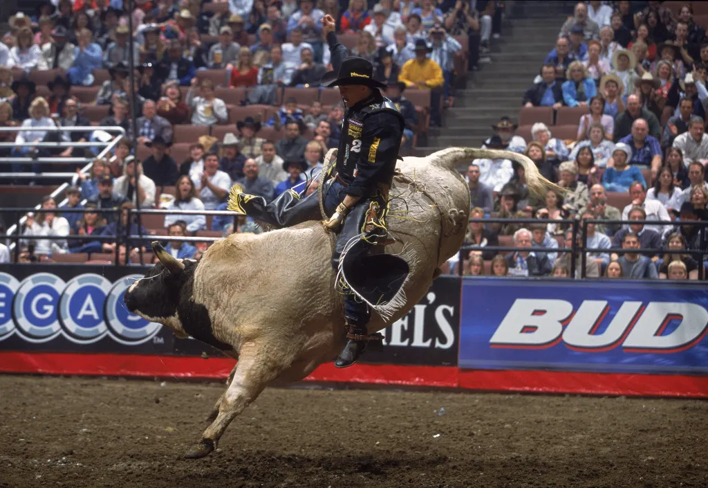Ty Murray #2 rides the bull during the Pro Bull Riders Bud Light Cup at the Anaheim Pond in Anaheim, California.Mandatory Credit: Donald Miralle /Allsport