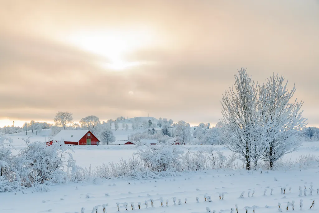 Farm in a rural winter landscape with snow and frost
