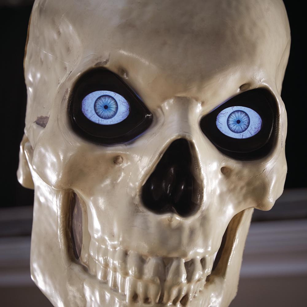 2 12 ft. Giant-Sized Skeleton with LifeEyes
