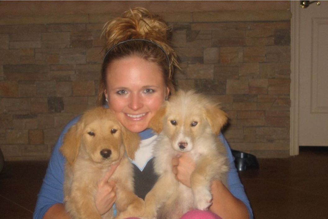 miranda lambert dog waylon