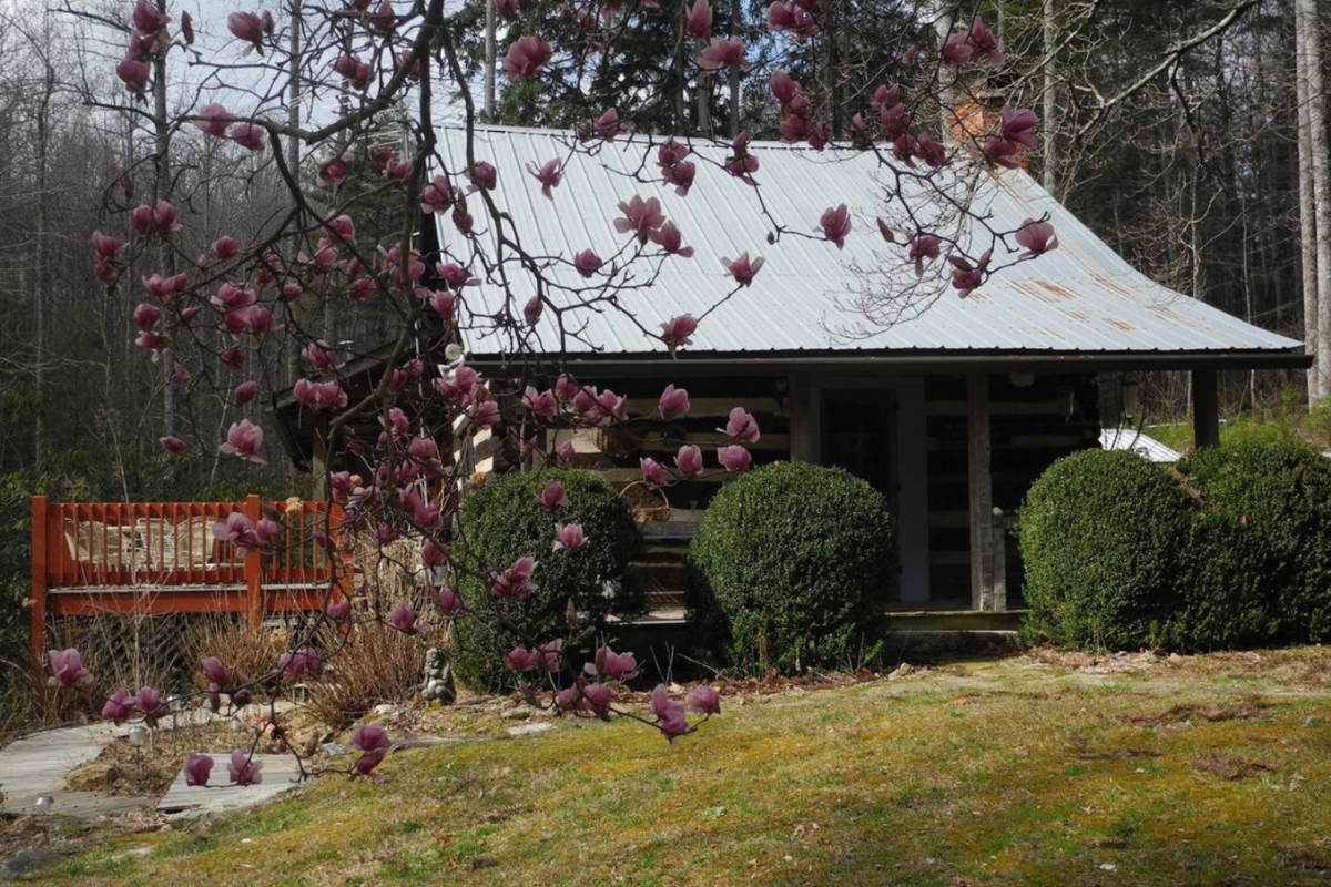 9 Cozy Log Cabins on Airbnb You Can Stay in Right Now