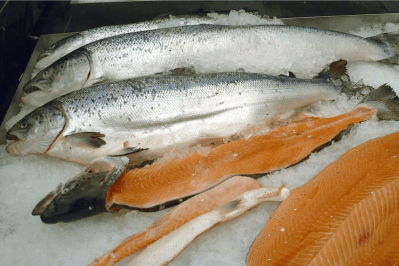 How to Tell If Salmon is Bad & See all the Signs of Spoiled Salmon