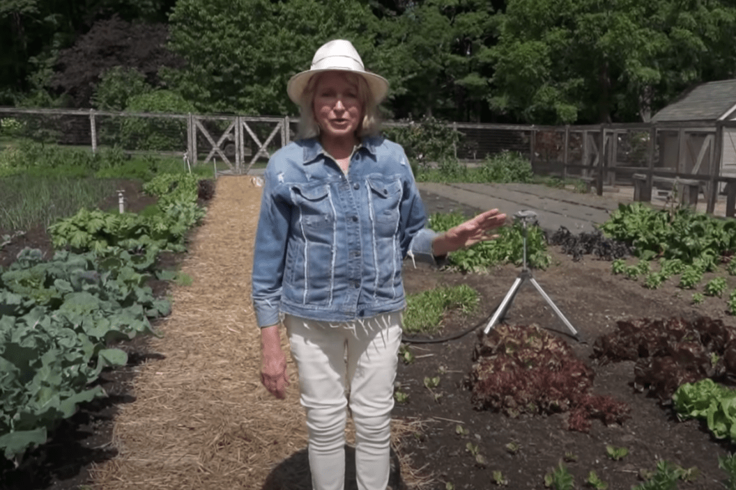 Screengrab of Martha Stewart on her farm