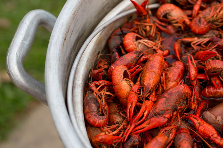 Spicy Crawfish Boiling in a Stock Pot in Louisiana