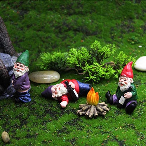 funny garden gnome