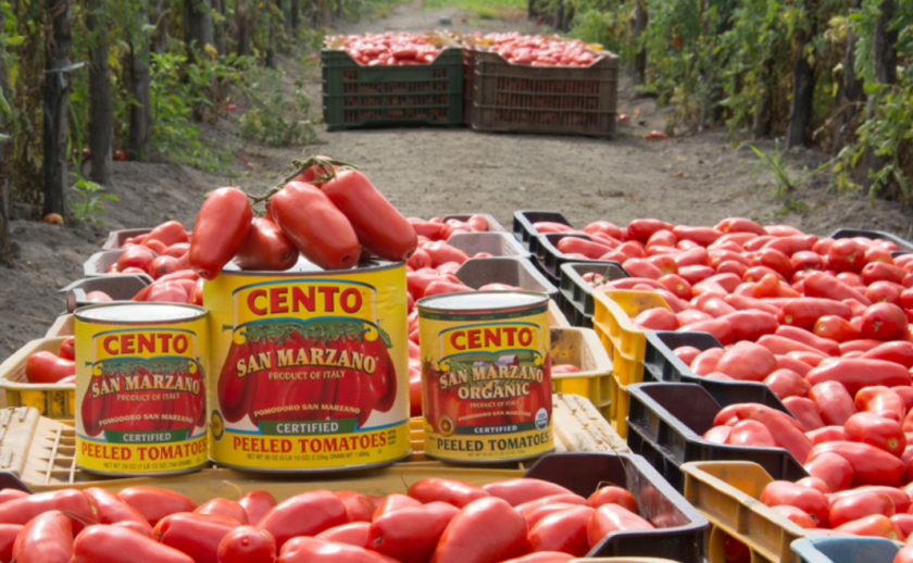 Cento San Marzano Tomatoes