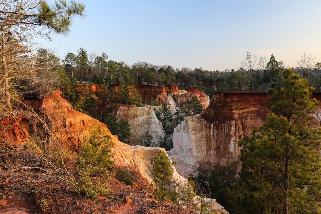 Late-afternoon sunlight colors the eroded clay walls of Providence Canyon State Park in rural southwest Georgia