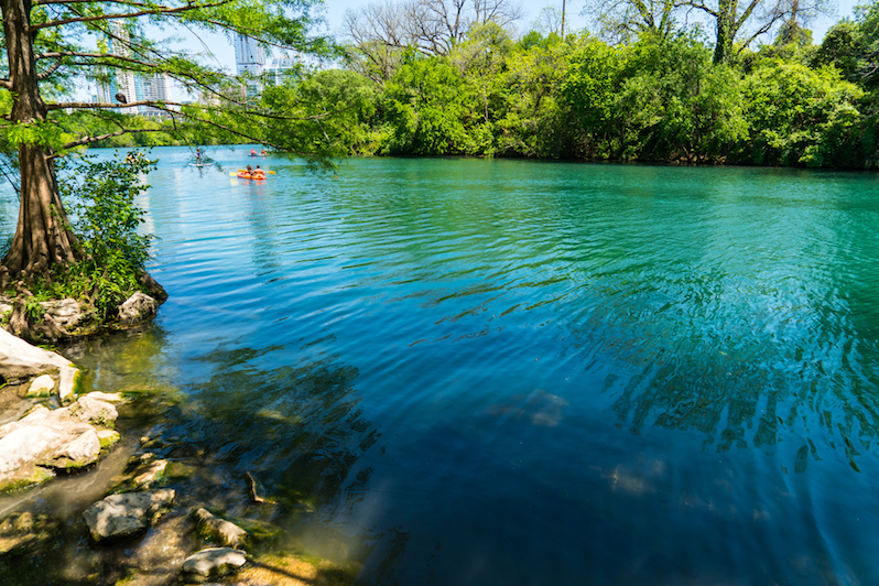 barton springs tropical waters along town lake in Austin Texas USA