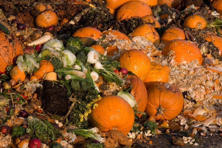 Pumpkin compost