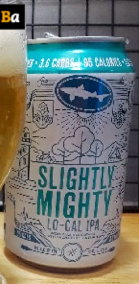 dogfish slightly mighty