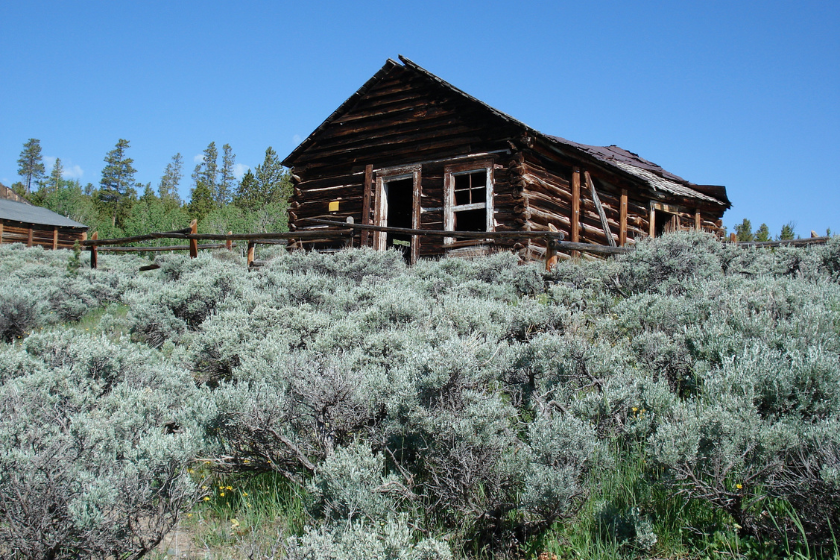 Abandoned cabin that was part of the mining operation at Miner's Delight that operated in the 19th Century