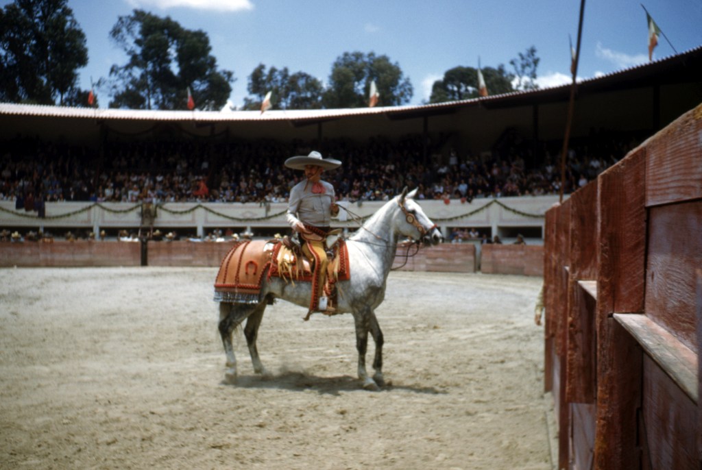 A vaqueros rides his horse during a charreada ,mexican rodeo in Mexico City, Mexico. 