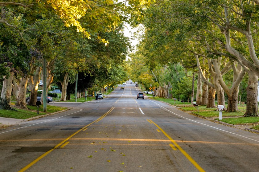 A view of a main street of Farmington lined by trees in Utah