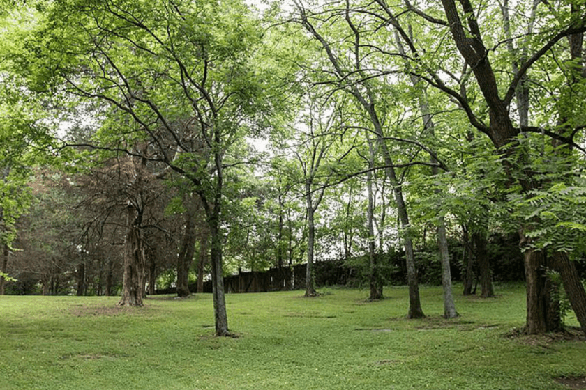 Green property surrounding Dolly Parton's former Nashville home