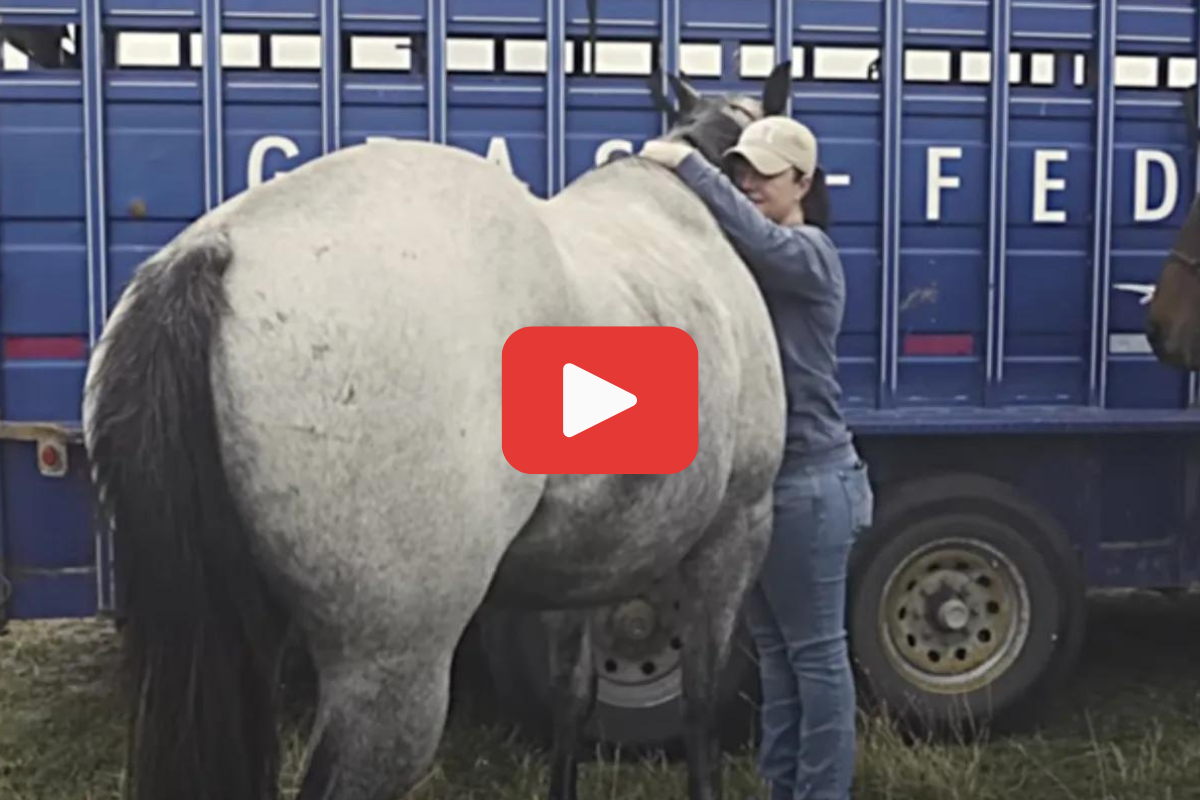 A screengrab of Ashley McBryde and a horse named Jenny from the country singer's YouTube series 'Made for This'