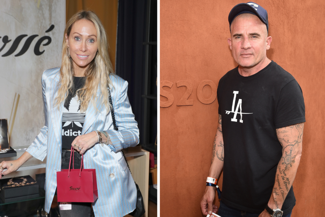 Tish Cyrus attends the GRAMMY Gift Lounge during the 62nd Annual GRAMMY Awards at STAPLES Center on January 24, 2020 in Los Angeles, California./ Actor Dominic Purcell attends the 2017 French Tennis Open - Day Six at Roland Garros on June 2, 2017 in Paris, France.