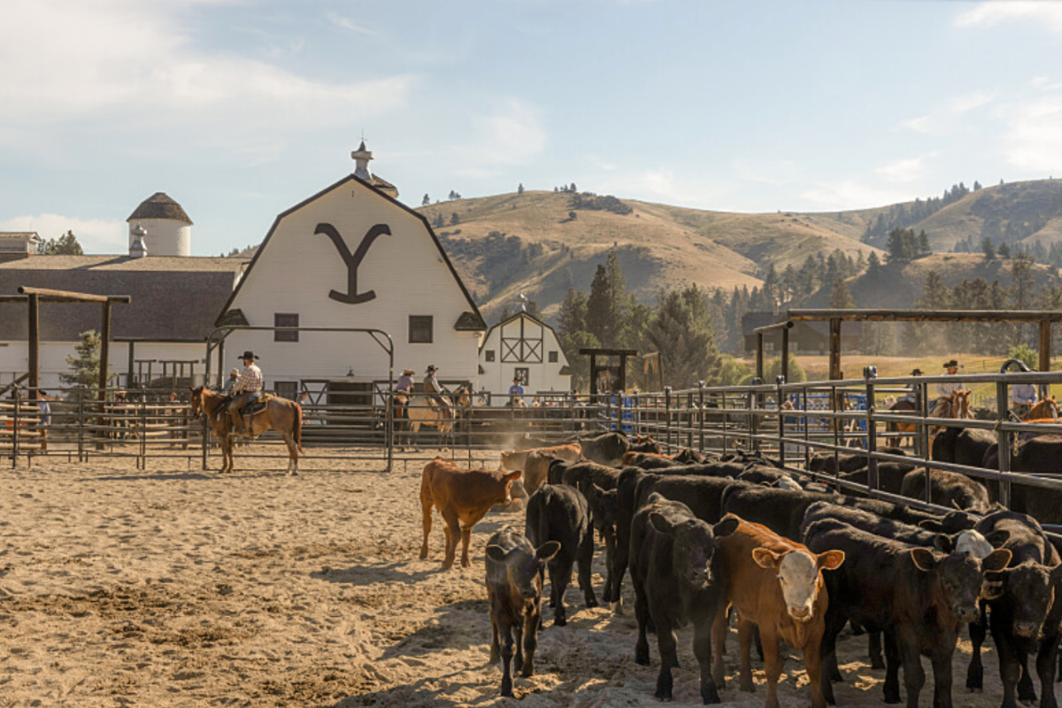 7 Pivotal Moments From This Week's Episode of 'Yellowstone'