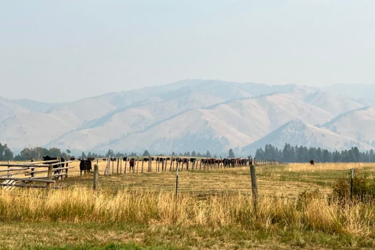 Where Is 'Yellowstone' Filmed? Fans Can Visit the Dutton Ranch