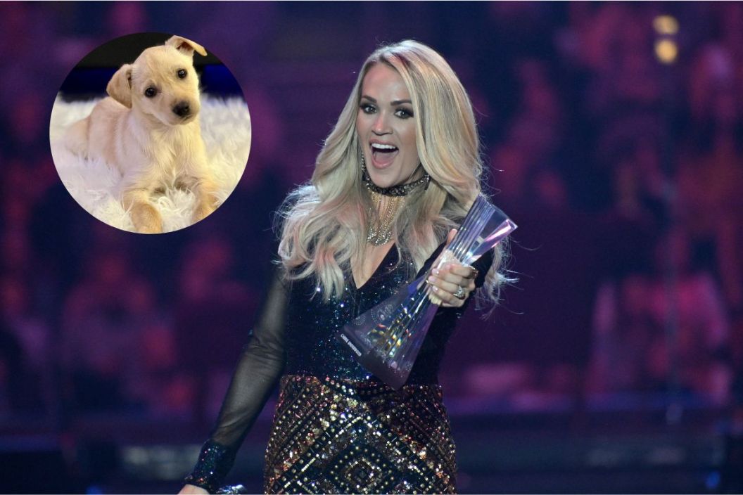 Carrie Underwood onstage/ Carrie Underwood's puppy, Charlie
