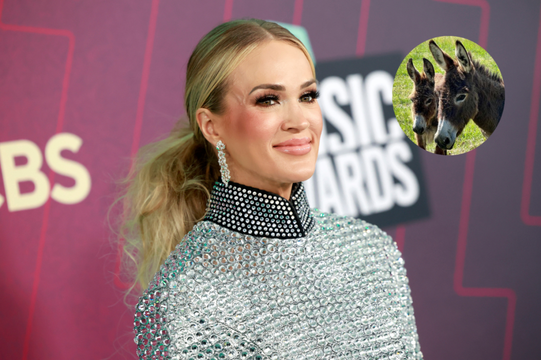 AUSTIN, TEXAS - APRIL 02: Carrie Underwood attends the 2023 CMT Music Awards at Moody Center on April 02, 2023 in Austin, Texas and screengrab of two of Underwood's new donkeys.