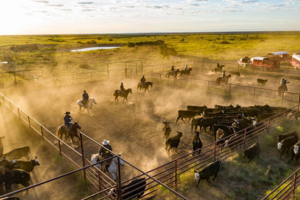 666 Ranch Owner Inside 'Yellowstone' Creator Taylor Sheridan's Historic 6666 Ranch