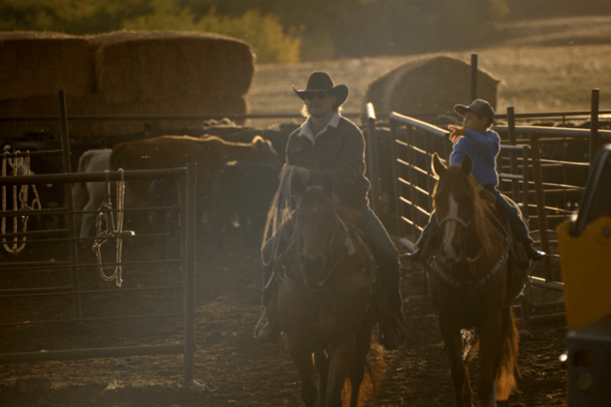 Cowboy rides horse on the ranch on 'The Ride'
