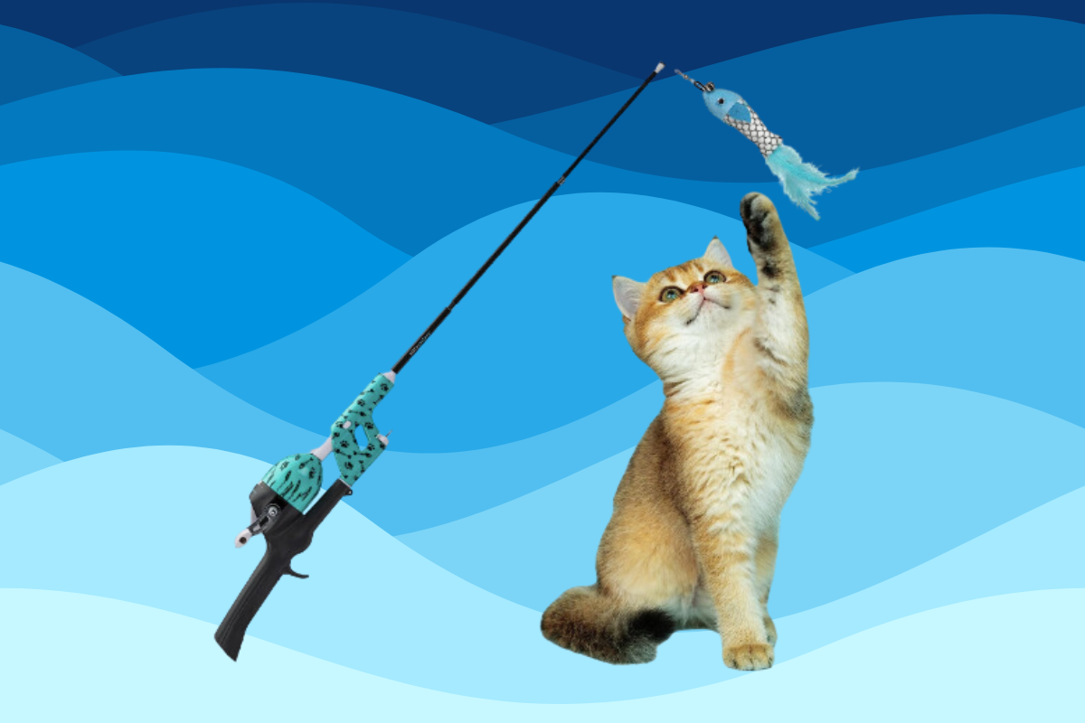 Is This the 'Greatest Cat Toy Ever Invented'? TikTok Thinks So