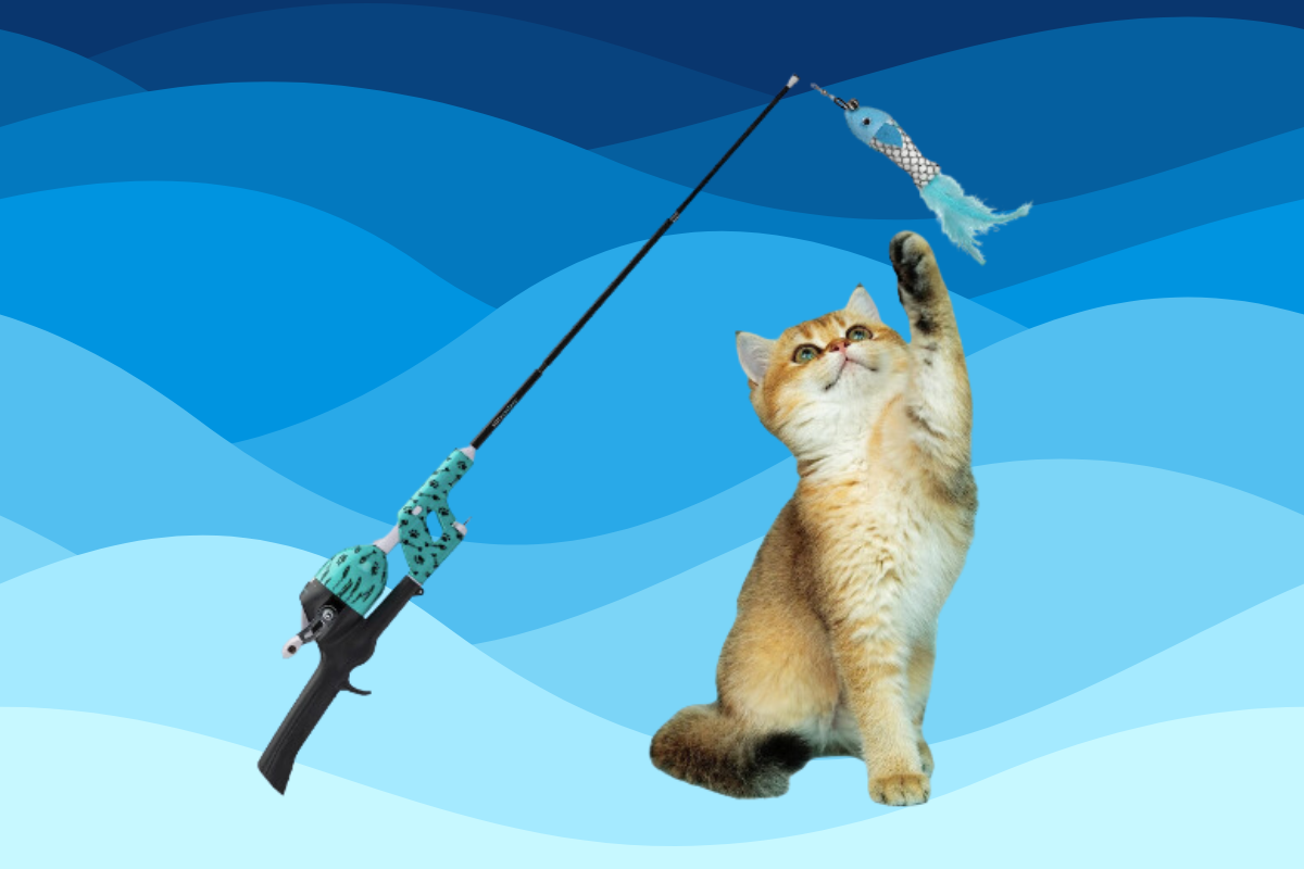 cat fishing pole cat Rod The super Fish for Kitties With This