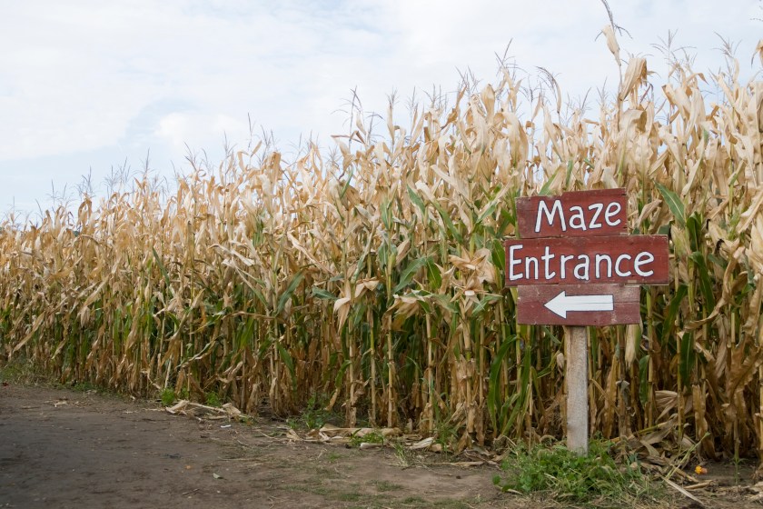 Corn Maze entrance sign