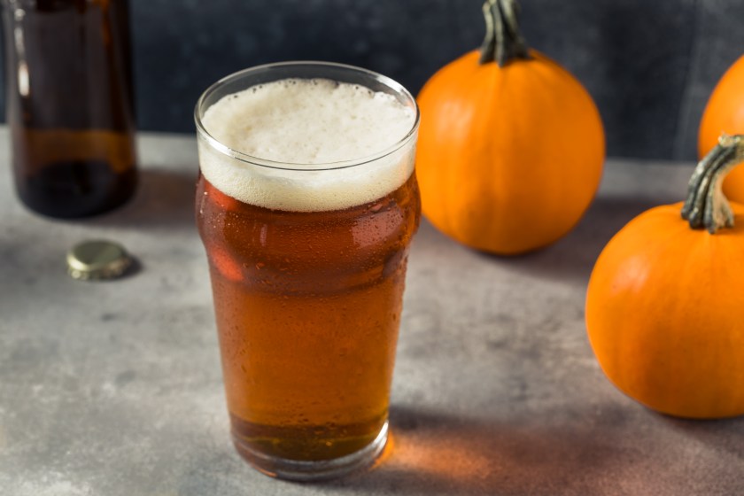 Boozy Refreshing Pumpkin Ale Craft Beer in a PInt Glass