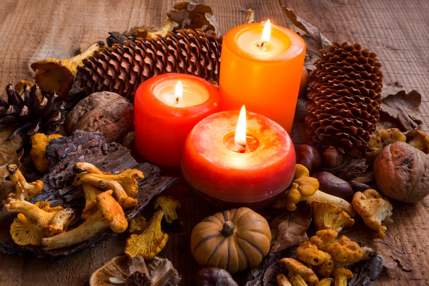 Fall candles decorations with dried leaves, pumpkins, chanterelle mushrooms, pine cones