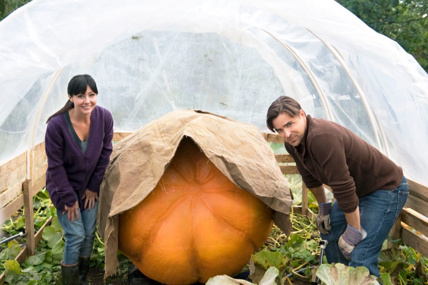 Emma (Shannen Doherty) resists Seth's (Kavan Smith) offer to buy her late grandfather's prized pumpkin seeds but agrees to partner with him in hopes of bettering her chances to win the local pumpkin growing competition. 