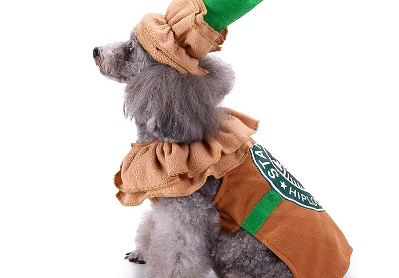 Dog dressed up as a cappachino