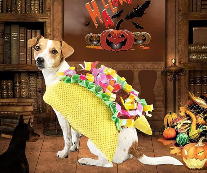 Dog dressed up as a taco
