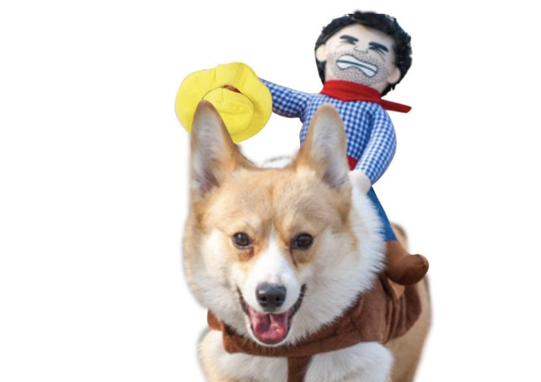 Dog dressed as a horse with a rider