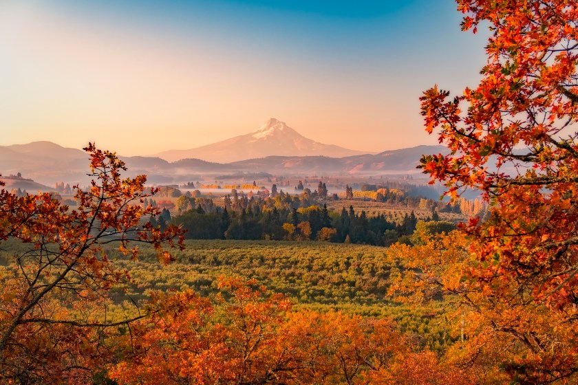 Autumn sunrise looking over the orchards and vineyards with Mt Hood in the distance looking south towards the mountain