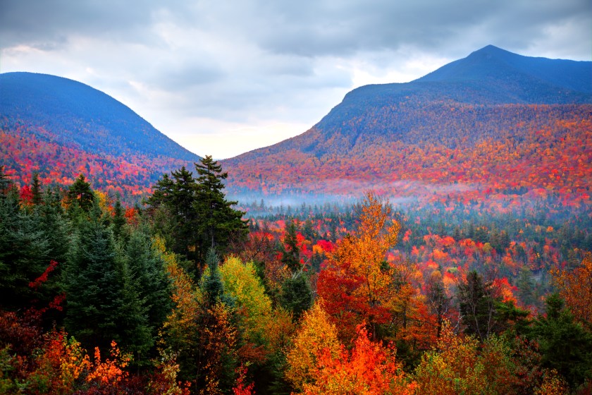 Autumn foliage in the White Mountains National Forest in New Hampshire. Photo taken during the peak fall foliage season producing vivid brilliant colors. New Hampshire is one of New England's most popular fall foliage destinations bringing out some of the best foliage in the United States