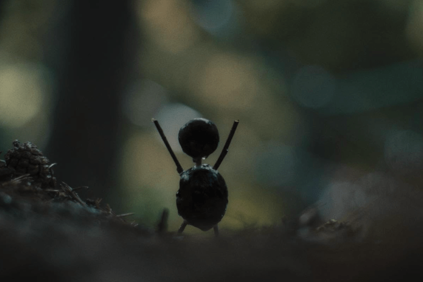 The Chestnut Man (2021)