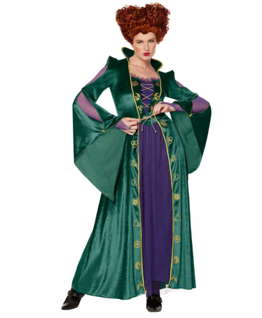 The Sanderson Sisters costumes