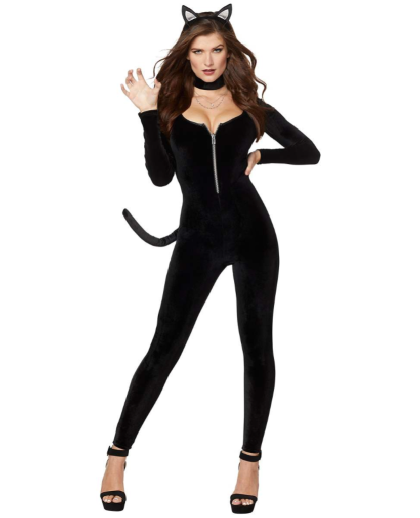 Sexy Cat costume